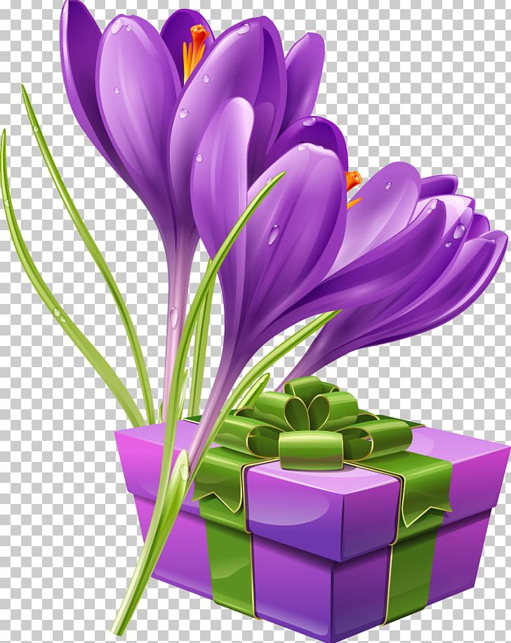 Flower Crocus Stock Photography Illustration PNG, Clipart, Beautiful Vector, Beauty, Beauty Salon, Bouquet, Encapsulated Postscript Free PNG Download