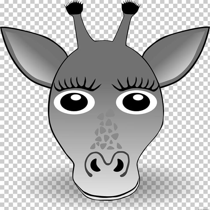 Giraffe Graphics Face Illustration PNG, Clipart, Animal, Animals, Animals  Clipart, Black And White, Cartoon Free PNG