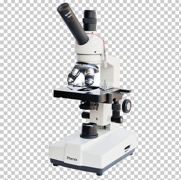 Microscope PNG, Clipart, Anthropology Of Technology, Bacteria, Bacteria Under Microscope, Cartoon Microscope, Cell Free PNG Download