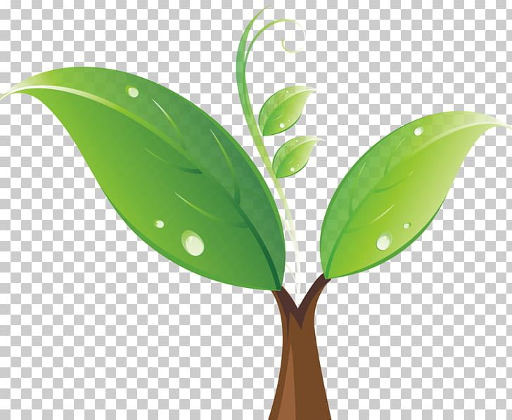 Seedling Tree PNG, Clipart, Cartoon, Decorative Patterns, Encapsulated Postscript, Font, Germination Free PNG Download