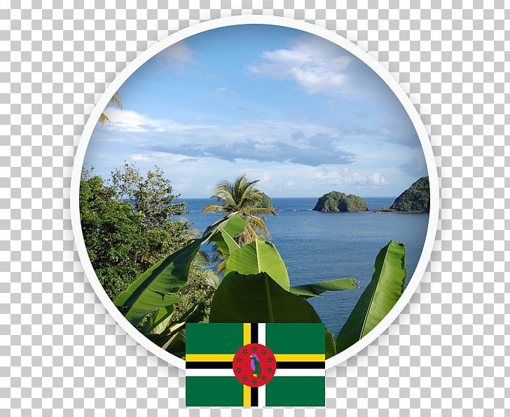 Dominica Saint Lucia Martinique Island Grenada PNG, Clipart, Antigua And Barbuda, Caribbean, Caribbean Sea, Dominica, Energy Free PNG Download