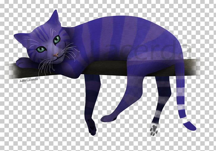 Korat Kitten Whiskers Black Cat Cheshire Cat PNG, Clipart,  Free PNG Download
