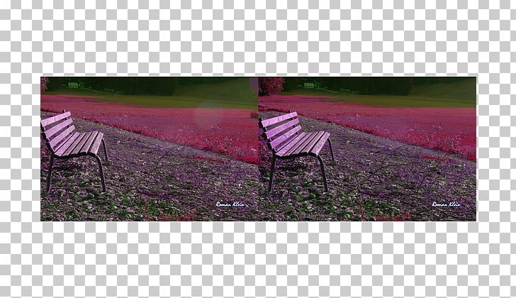 Bench Garden Furniture Lawn PNG, Clipart, Bench, Field, Furniture, Garden Furniture, Grass Free PNG Download