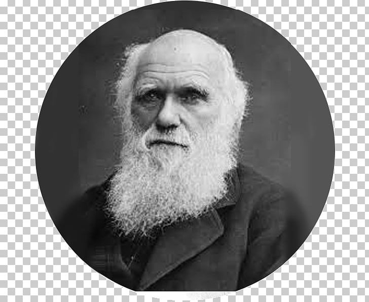 Charles Darwin The Voyage Of The Beagle On The Origin Of Species Darwinism Evolution PNG, Clipart, Beard, Biology, Black And White, Chin, Hair Free PNG Download