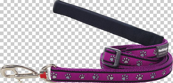 Leash Dingo Dog Cat Collar PNG, Clipart, Animal, Animals, Belt, Cat, Collar Free PNG Download