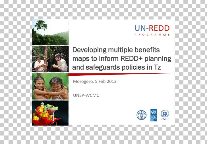 Reducing Emissions From Deforestation And Forest Degradation United Nations REDD Programme PNG, Clipart, Advertising, Conservation, Conversation, Deforestation, Display Advertising Free PNG Download