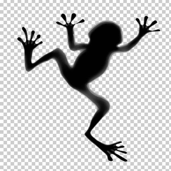 Toad Tree Frog Tattoo Panamanian Golden Frog PNG, Clipart, Amphibian, Animals, Arm, Artwork, Black And White Free PNG Download