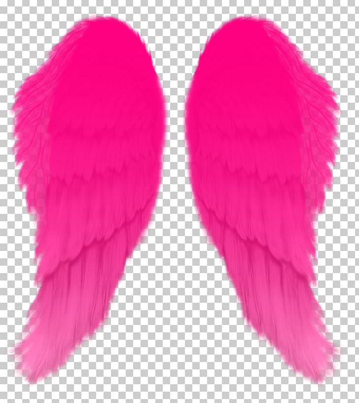Aile PNG, Clipart, Aile, Desktop Wallpaper, Feather, Information, Magenta Free PNG Download