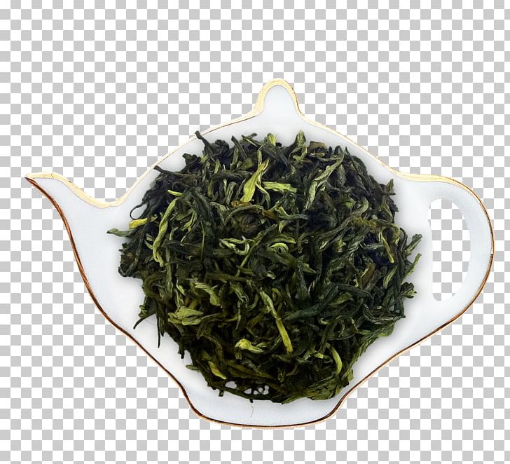Green Tea Oolong Earl Grey Tea Keemun PNG, Clipart, Aonori, Assam Tea, Bai Mudan, Bancha, Biluochun Free PNG Download