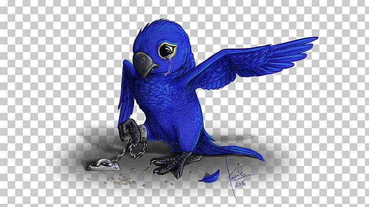 Macaw Parakeet Feather Beak Cobalt Blue PNG, Clipart, Beak, Bird, Blue, Bluebird, Bluebirds Free PNG Download