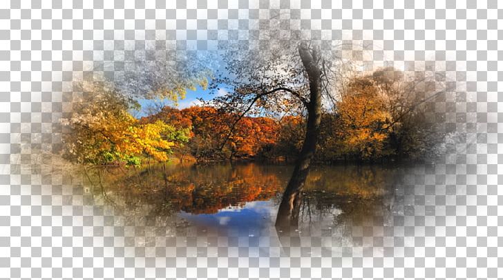 Desktop Nature Autumn UXGA Tree PNG, Clipart, 1080p, Autumn Leaf Color, Color, Computer Wallpaper, Desktop Wallpaper Free PNG Download