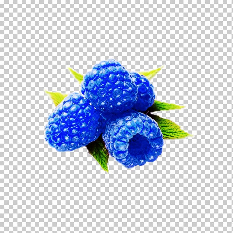 Blue Berry Cobalt Blue Plant Fruit PNG, Clipart, Anemone, Berry, Blackberry, Blue, Blueberry Free PNG Download