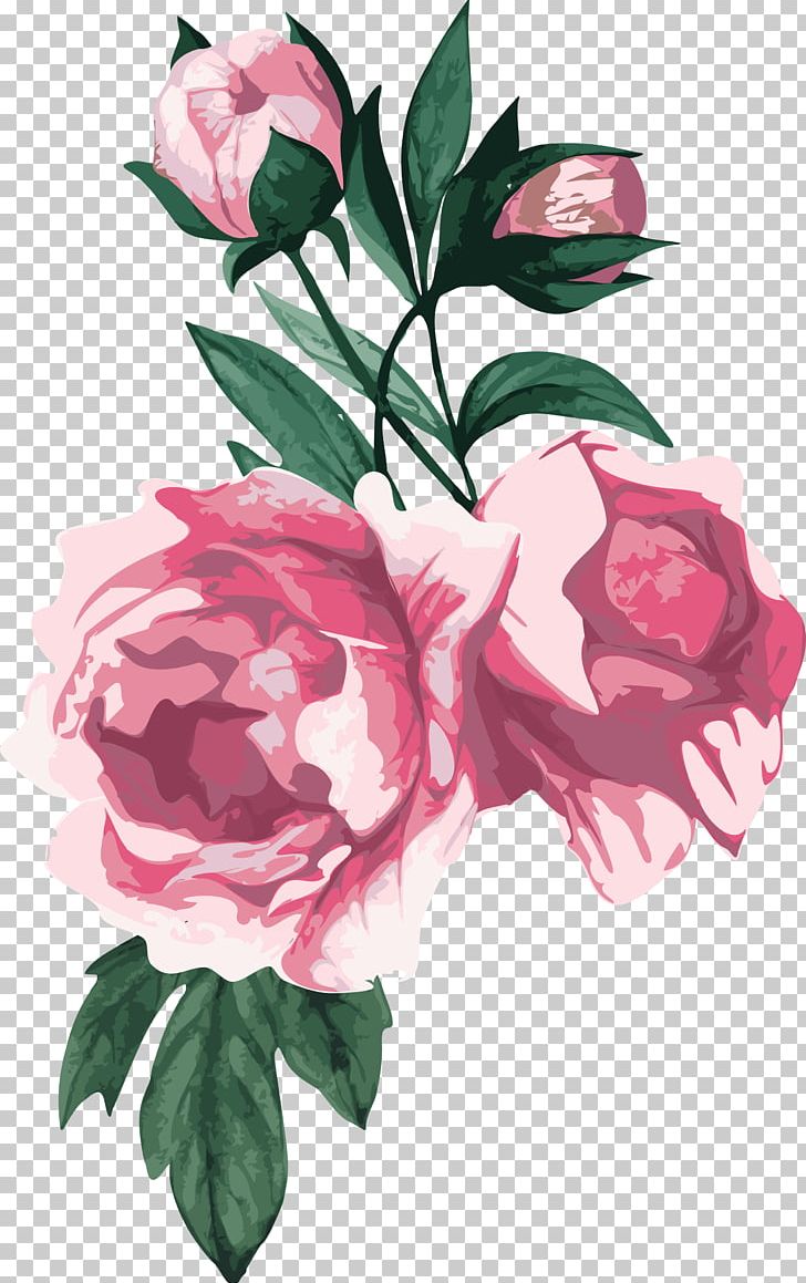 Centifolia Roses Flower Garden Roses Peony PNG, Clipart, Art, Camellia, Centifolia Roses, Cut Flowers, Floral Design Free PNG Download