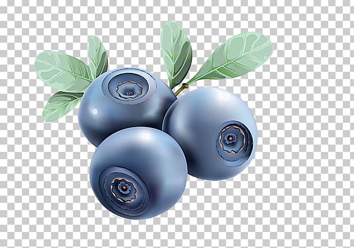 Euclidean Blueberry PNG, Clipart, Berry, Bilberry, Blueberry, Blueberry Bush, Blueberry Cake Free PNG Download