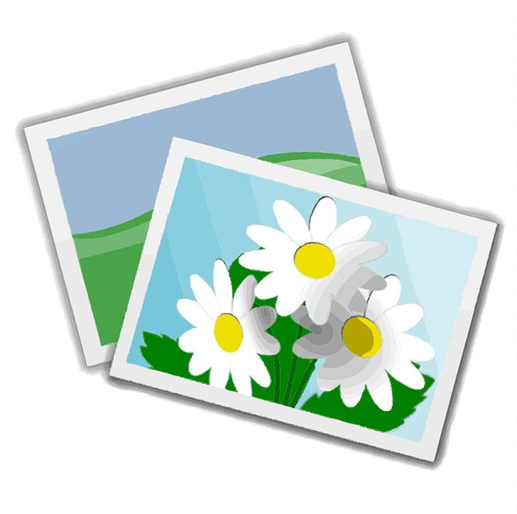 Free Content Photography PNG, Clipart, Area, Black And White, Blog, Cut Flowers, Download Free PNG Download