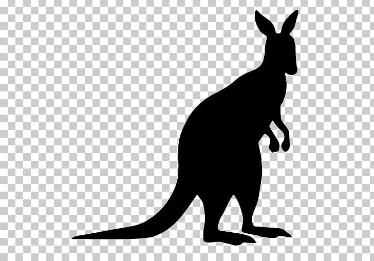 Kangaroo Silhouette PNG, Clipart, Animal, Animals, Black, Black And White, Black Silhouette Free PNG Download