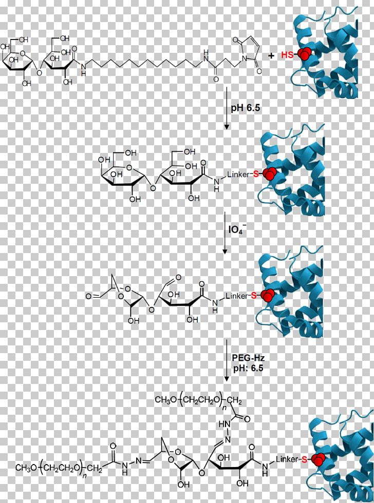 Sodium Periodate Polysaccharide PEGylation Carbohydrate PNG, Clipart, Angle, Area, Black And White, Carbohydrate, Dextran Free PNG Download