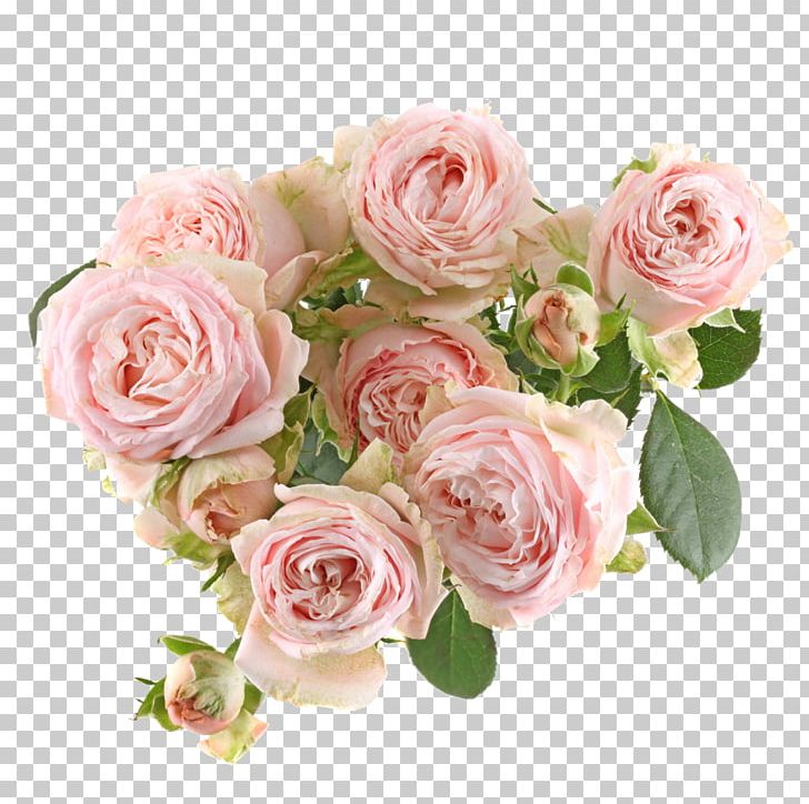 Garden Roses Cabbage Rose Floribunda Cut Flowers PNG, Clipart, Artificial Flower, Cut Flowers, Dynasty, Floral Design, Floribunda Free PNG Download