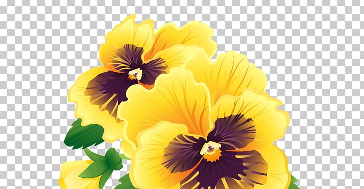Pansy Graphics Illustration GIF PNG, Clipart, Annual Plant, Computer Icons, Depositphotos, Floral Banner, Flower Free PNG Download