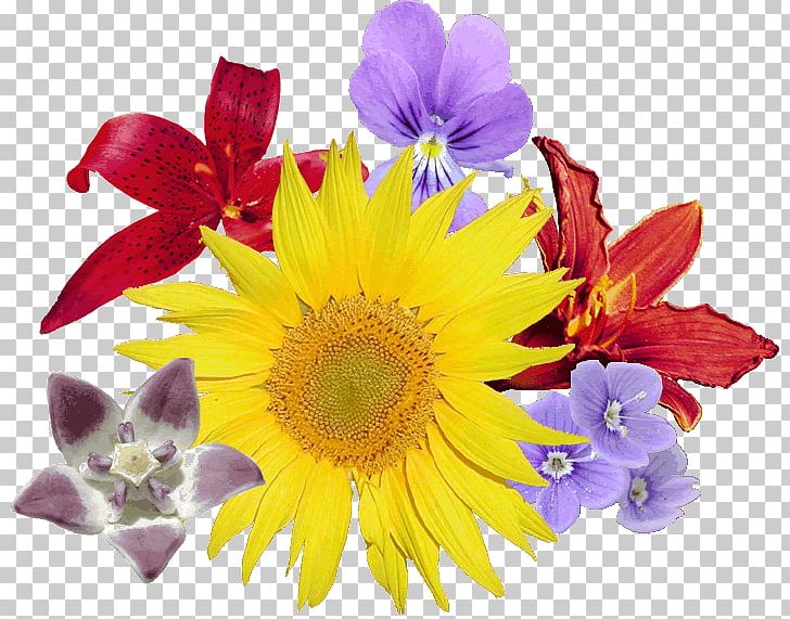 Flower Bouquet PNG, Clipart, Annual Plant, Bouquet Of Flowers, Chrysanths, Cut Flowers, Daisy Family Free PNG Download