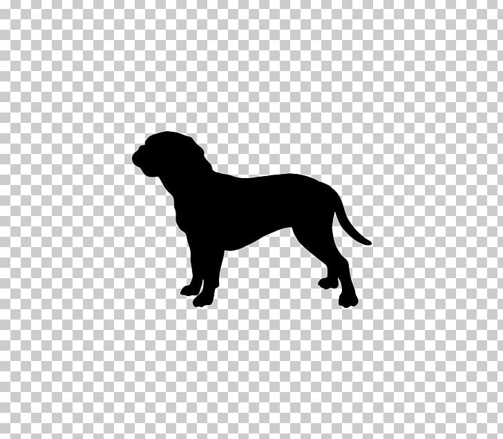 Labrador Retriever Flat-Coated Retriever Golden Retriever Curly-coated Retriever Rottweiler PNG, Clipart, Big Cats, Black, Black And White, Breed, Carnivoran Free PNG Download