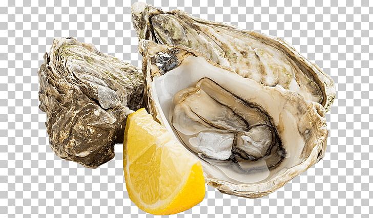 Pacific Oyster Mussel Clam Oyster Farming PNG, Clipart, Alamy, Animal Source Foods, Clam, Clams Oysters Mussels And Scallops, Food Free PNG Download