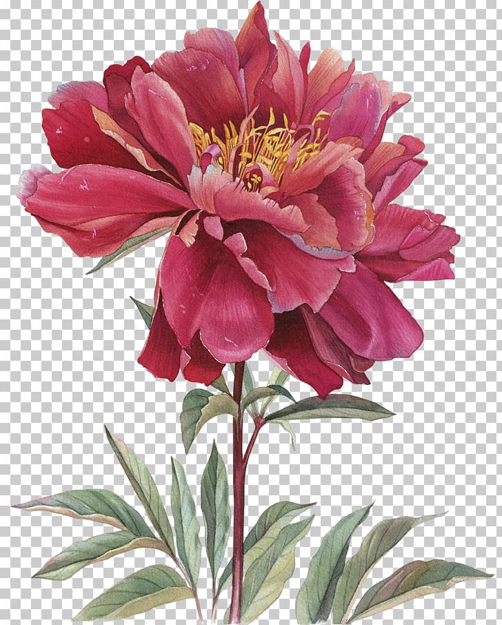 Watercolor Painting Illustration Art Floral Design PNG, Clipart, Alstroemeriaceae, Annual Plant, Art, Canvas, Cut Flowers Free PNG Download