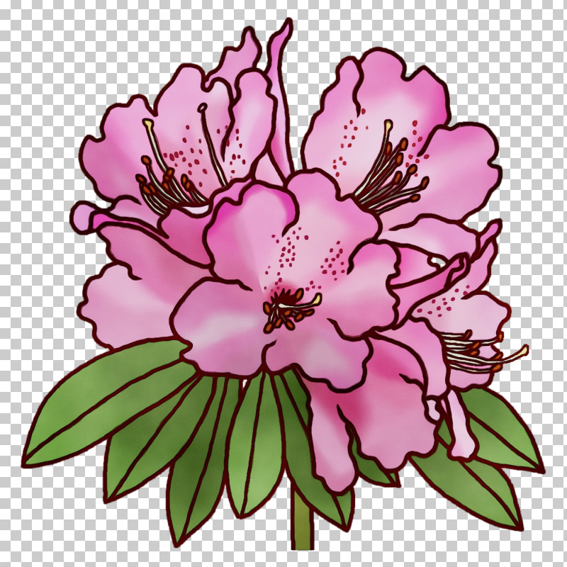 Floral Design PNG, Clipart, Artificial Flower, Carnation, Cut Flowers, Floral Design, Floristry Free PNG Download