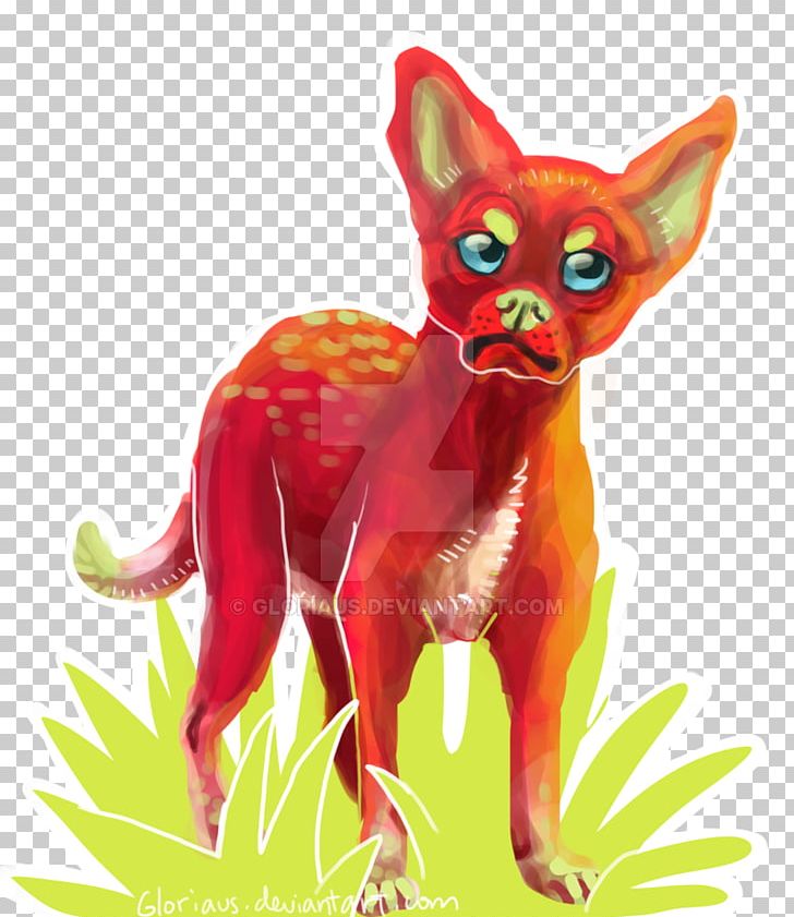 Cat Red Fox Dog Carnivora PNG, Clipart, Animal, Animals, Canidae, Carnivora, Carnivoran Free PNG Download