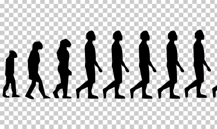 Neandertal Homo Sapiens Human Evolution Early Human Migrations PNG, Clipart, Biology, Brand, Charles Darwin, Communication, Darwin Free PNG Download