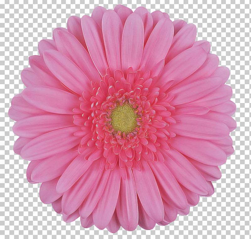 Artificial Flower PNG, Clipart, Artificial Flower, Aster, Barberton Daisy, China Aster, Cut Flowers Free PNG Download