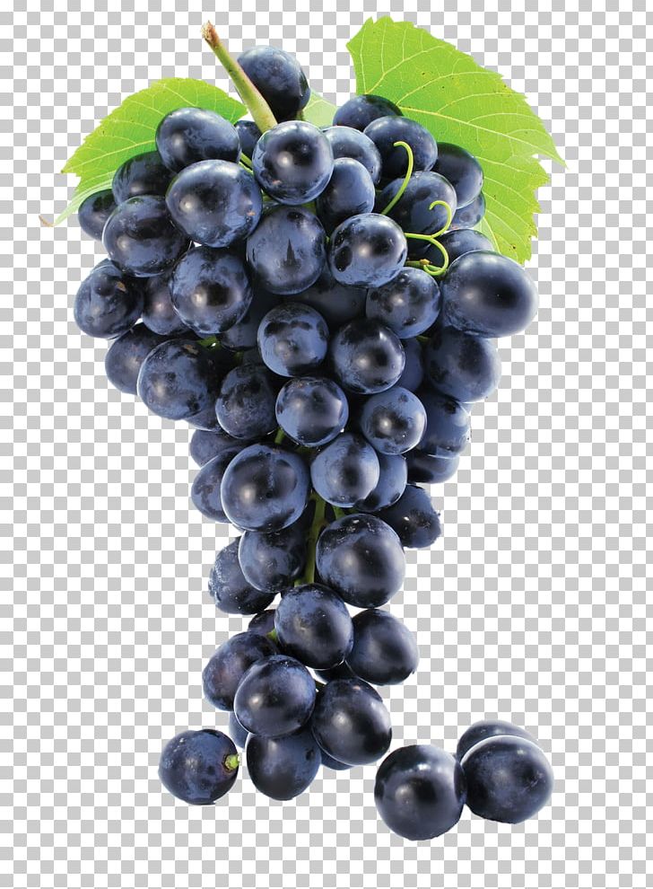 Common Grape Vine Grape Leaves Grape Seed Extract Must PNG, Clipart, Amazon Grape, Berry, Bilberry, Blueberry, Food Free PNG Download