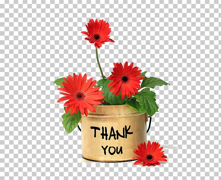 Flower YouTube PNG, Clipart, Centrepiece, Childrens Day, Cut Flowers, Daisy Family, Fathers Day Free PNG Download