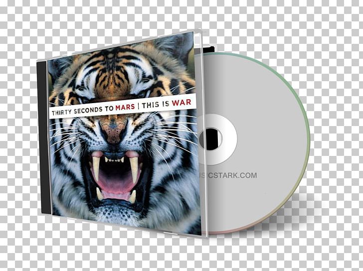 Thirty Seconds To Mars This Is War A Beautiful Lie 30 Seconds To Mars Album PNG, Clipart, 30 Seconds To Mars, Album, Beautiful Lie, Big Cats, Brand Free PNG Download