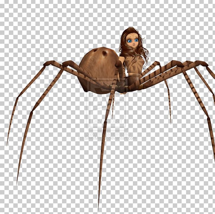 Angulate Orbweavers Video Game Development Widow Spiders PNG, Clipart, Angulate Orbweavers, Arachnid, Araneus, Arthropod, Black Widow Free PNG Download