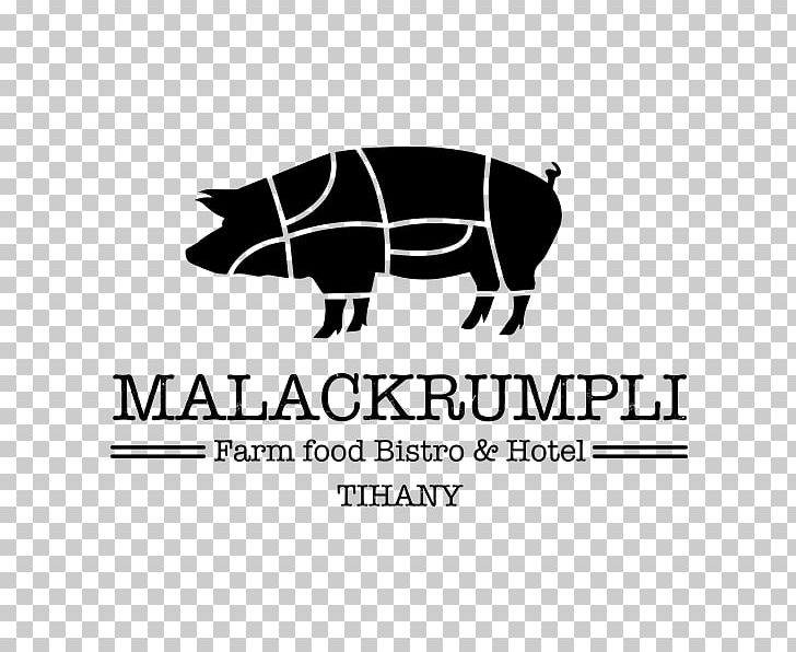 Domestic Pig Malackrumpli Buda Stock Photography PNG, Clipart, Animals, Black, Black And White, Brand, Domestic Pig Free PNG Download