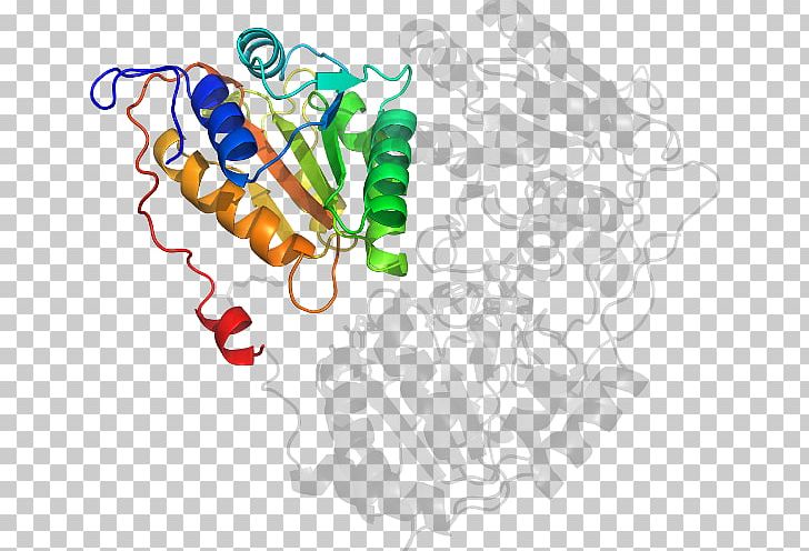 Line Point PNG, Clipart, Acetolactate Synthase, Area, Art, Graphic Design, Line Free PNG Download