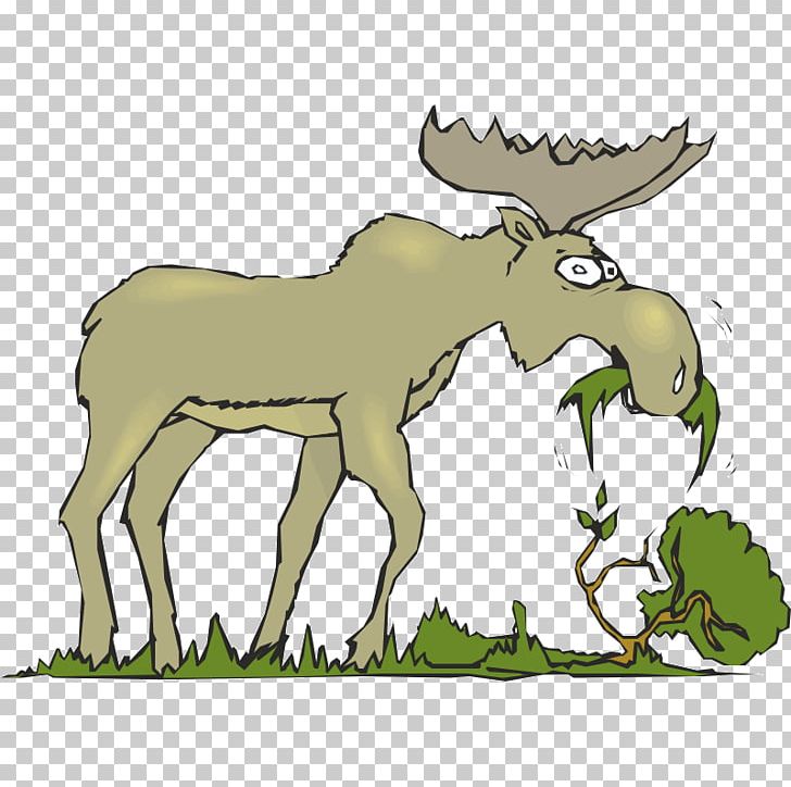 Moose Eating Cattle Mammal PNG, Clipart, Antelope, Antler, Cattle, Cattle Like Mammal, Deer Free PNG Download