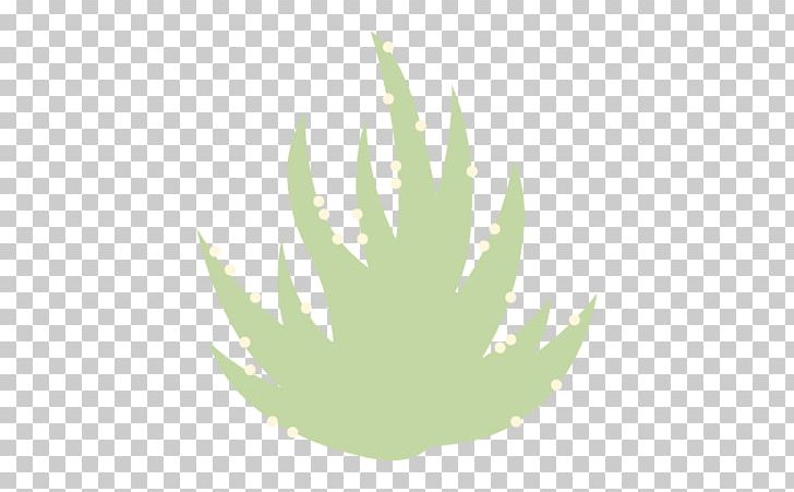 Wall Decal Succulent Plant Logo PNG, Clipart, Agave, Cactaceae, Cereus Repandus, Computer, Computer Wallpaper Free PNG Download