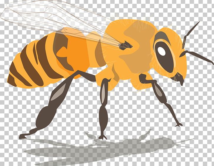 Western Honey Bee Beehive Beeswax Swarming PNG, Clipart, Arthropod, Bee, Beekeeper, Beekeeping, Bee Pollen Free PNG Download