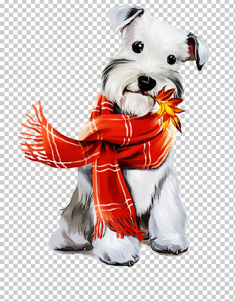 Dog Dog Clothes West Highland White Terrier Miniature Schnauzer Sealyham Terrier PNG, Clipart, Companion Dog, Dog, Dog Clothes, Maltese, Miniature Schnauzer Free PNG Download