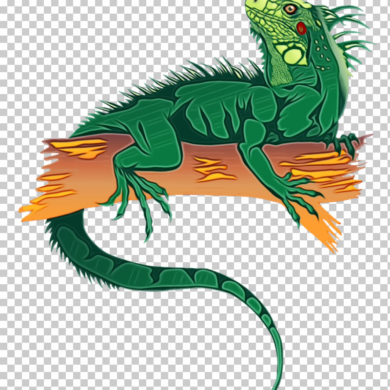 Dragon PNG, Clipart, Cadena Ser, Character Structure, Common Iguanas, Dragon, Logo Free PNG Download