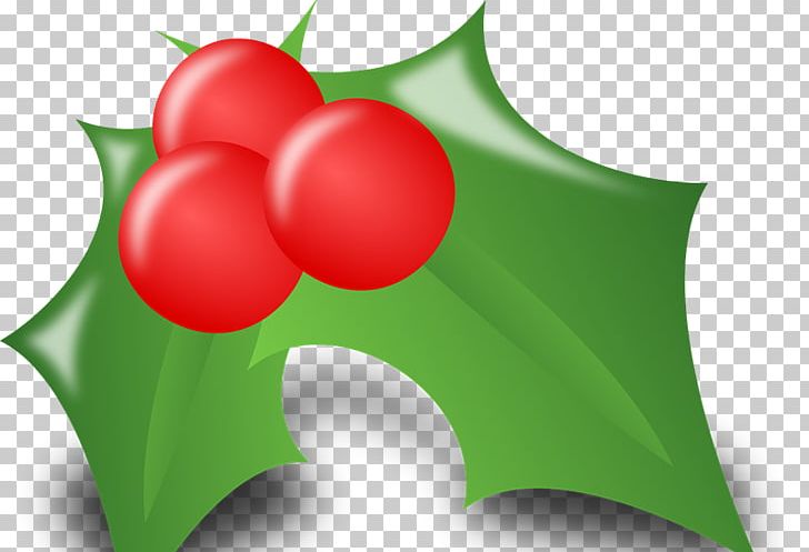 Christmas Ornament Gift Christmas Decoration PNG, Clipart, Aquifoliaceae, Aquifoliales, Berry, Blog, Christmas Free PNG Download
