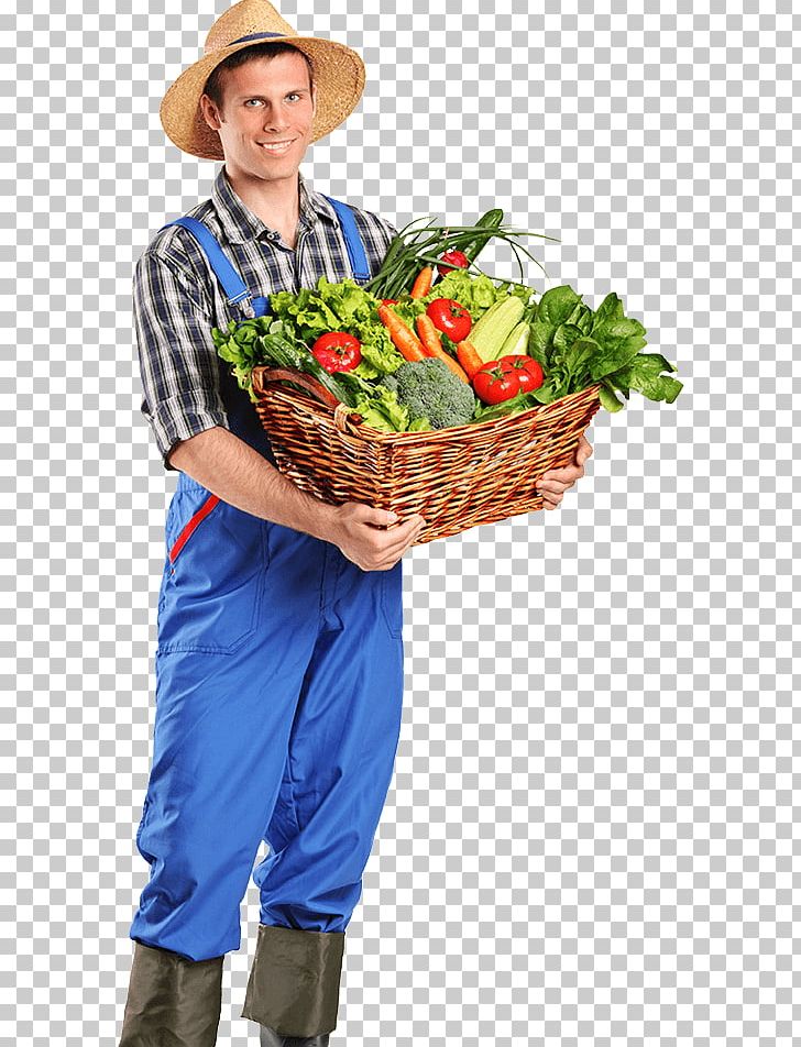 Organic Food Farmer Agriculture Vegetable Farming PNG, Clipart,  Free PNG Download