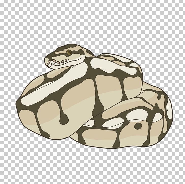 Snake Ball Python Reptile Cartoon African Rock Python PNG, Clipart, African Rock Python, Amphibian, Animals, Ball Python, Beige Free PNG Download