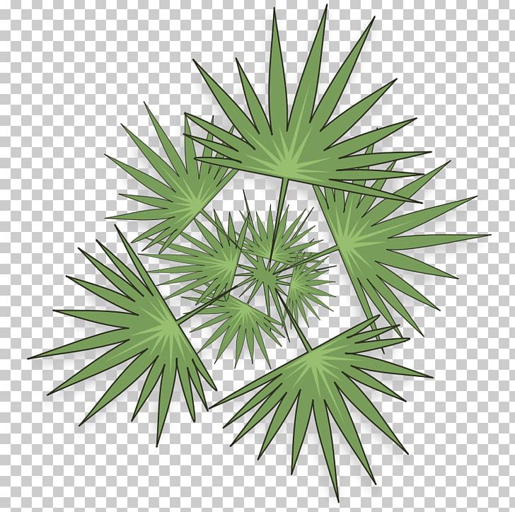 Tree Scalable Graphics PNG, Clipart, Arecaceae, Arecales, Clip Art, Computer Icons, Favicon Free PNG Download