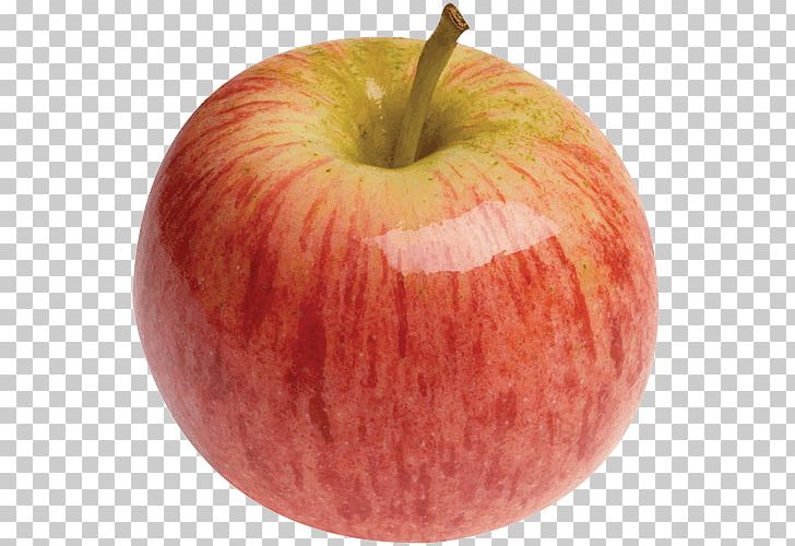 Apple Fruit Gala Organic Food PNG, Clipart, Accessory Fruit, Apel, Apple, Apple Extract, Apple Fruit Free PNG Download