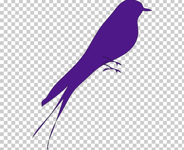 Bird Computer Icons Purple PNG, Clipart, Beak, Big Bird Clipart, Bird, Branch, Bulbul Free PNG Download