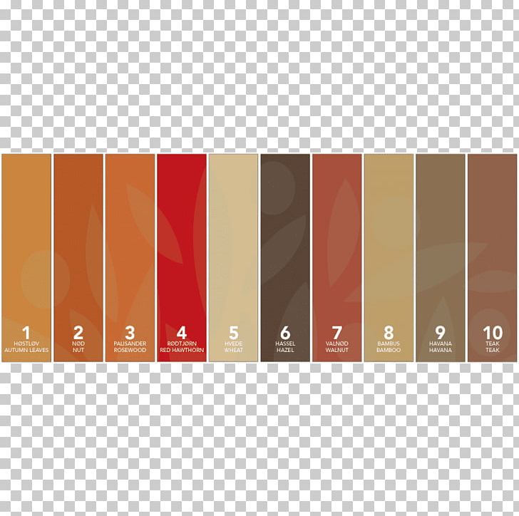 Brand Rectangle Wood Stain PNG, Clipart, Angle, Botany, Brand, Orange, Peach Free PNG Download