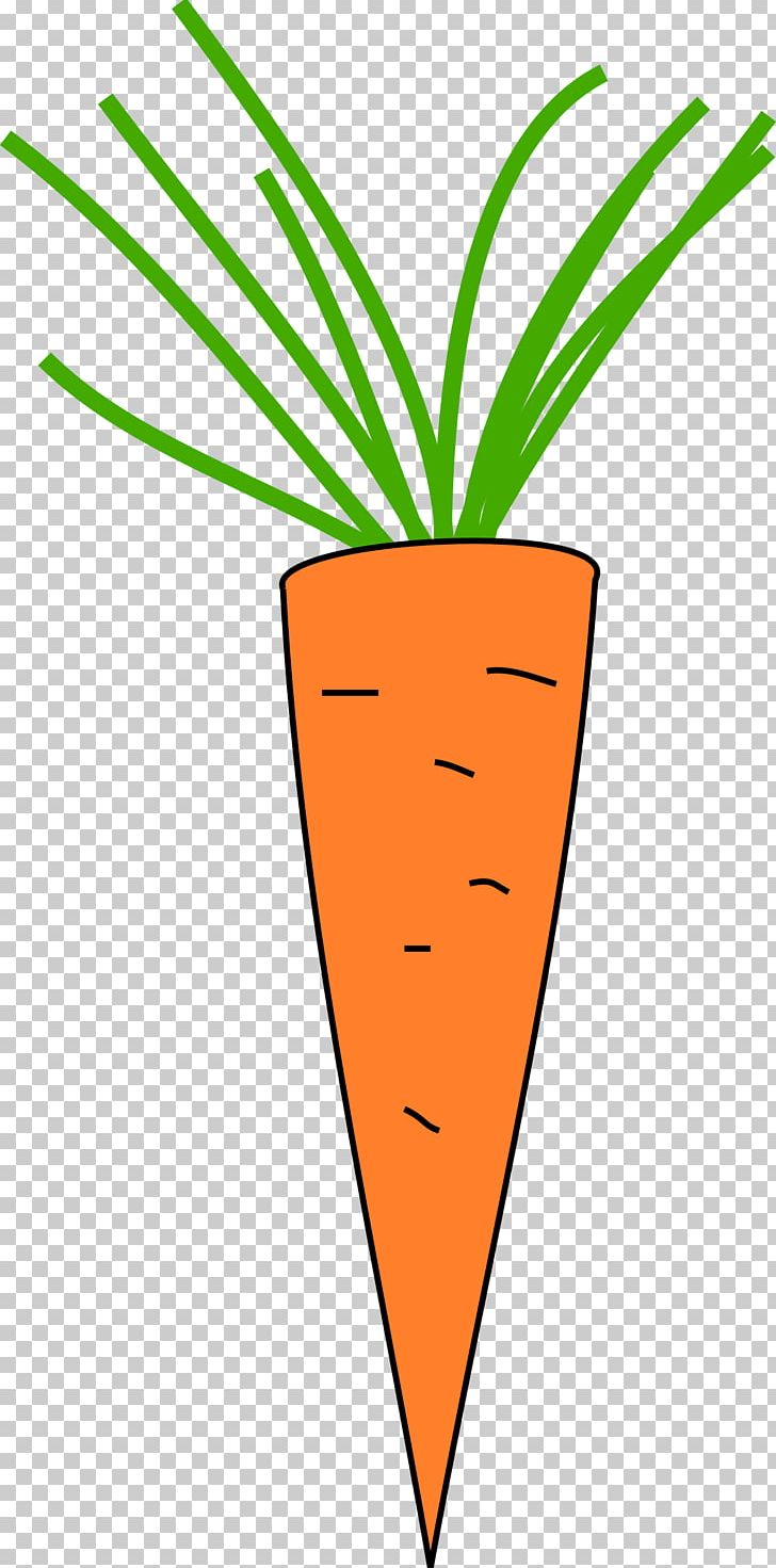 Carrot PNG, Clipart, Area, Carrot, Computer Icons, Food, Fruit Free PNG Download